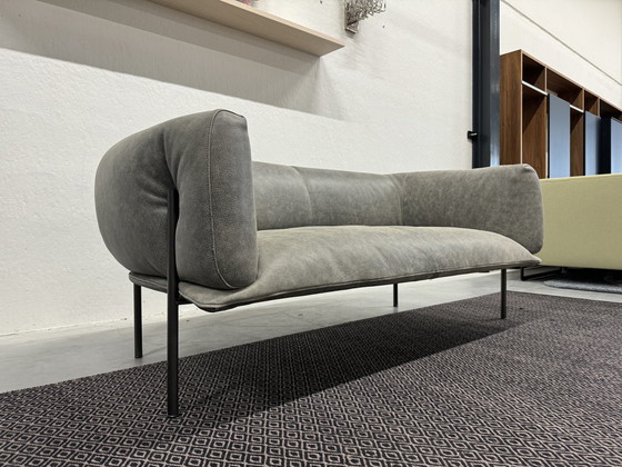 Image 1 of Molinari Rondo 2-Sitzer Sofa Leder