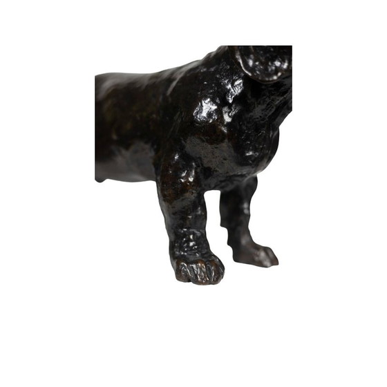 Image 1 of Skulptur "Hund Basset Toc" aus Bronze von François Pompon für Atelier Valsuani, 2006