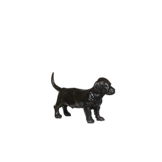 Image 1 of Skulptur "Hund Basset Toc" aus Bronze von François Pompon für Atelier Valsuani, 2006