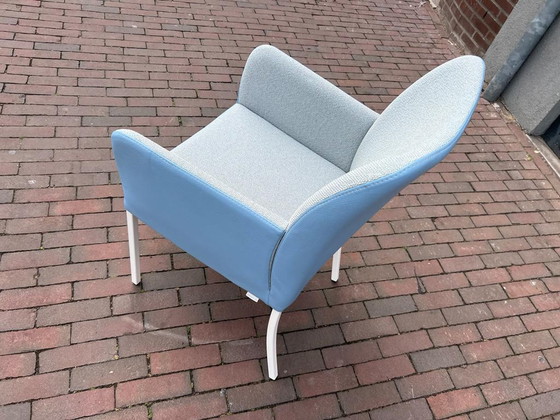 Image 1 of Bert Plantage Duo Spargo Tango