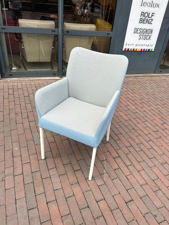 Image 1 of Bert Plantage Duo Spargo Tango