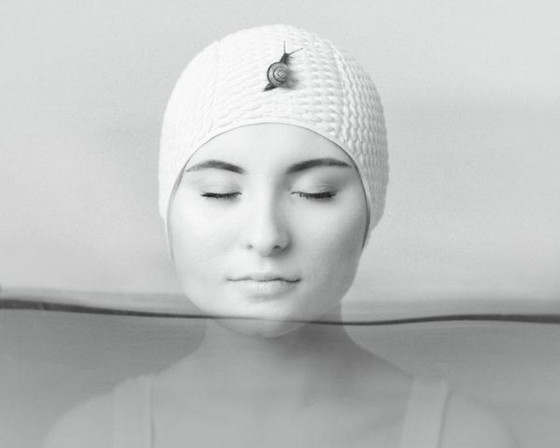 Image 1 of René Dissel – Kapitulation