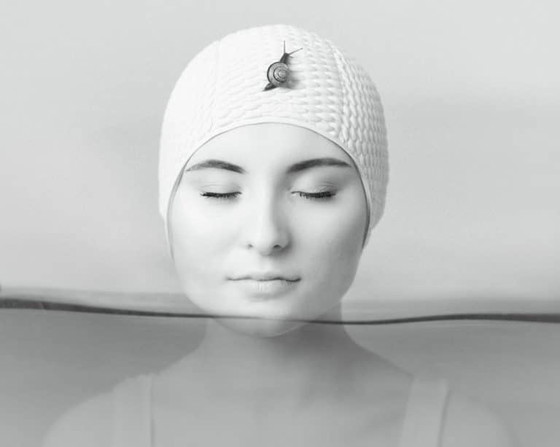 Image 1 of René Dissel – Kapitulation