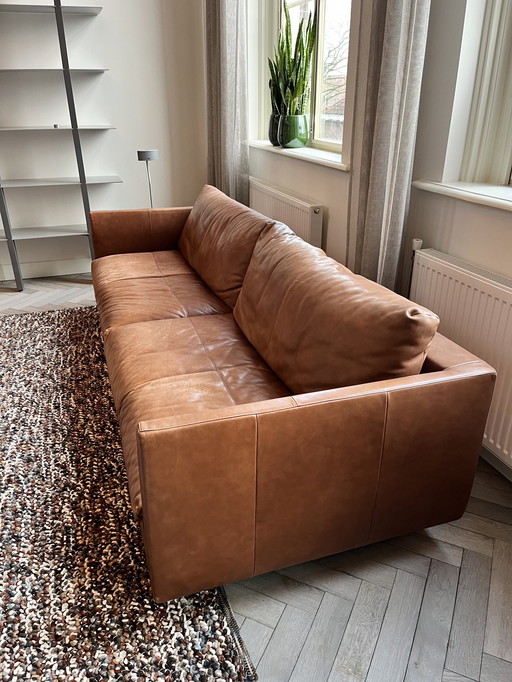 Montis Axel Xl-S 4-Sitzer Sofa 248 Breit