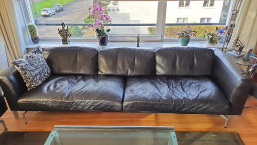 Zimmer von Wellis Sofas