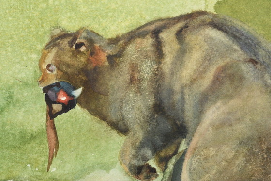 Image 1 of Arthur Seufert Wildkatze, 2 Aquarelle