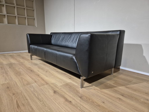 Rolf Benz Linea - 3-Sitzer Sofa - Schwarz - Leder - Design