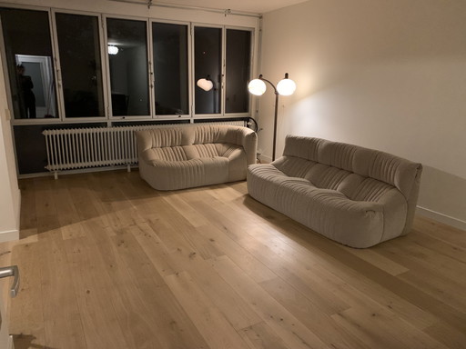 2X Aralia Sofa von Michel Ducaroy für Ligne Roset