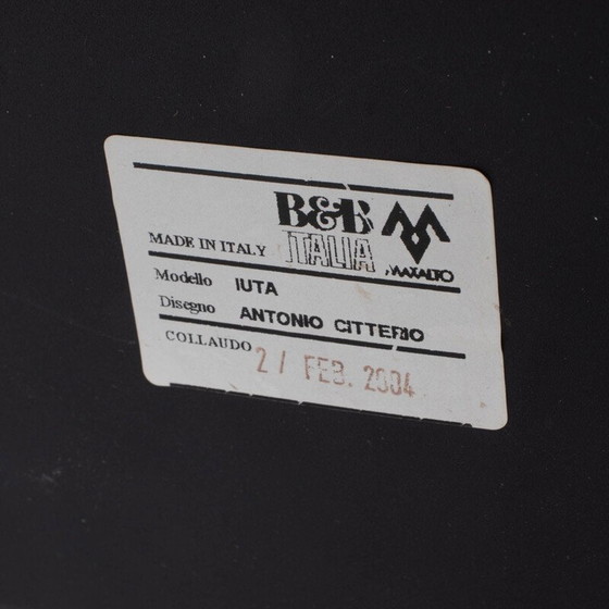 Image 1 of Luta-Drehstühle aus Leder, Antonio Citterio pour B&B Italia 2004