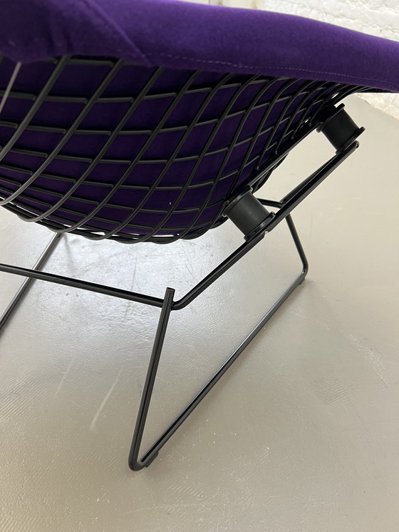 Image 1 of Knoll International Bird Chair Harry Bertoia 