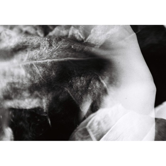 Image 1 of Vintage painting natural movements 05 von Meïdhy Bichon, 2019