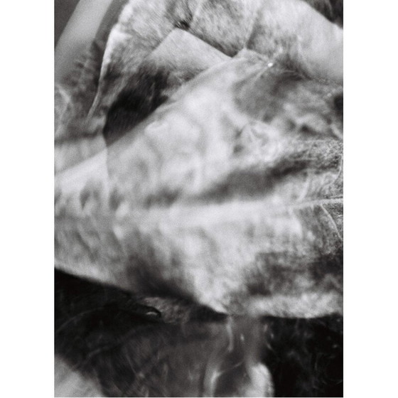 Image 1 of Vintage painting natural movements 05 von Meïdhy Bichon, 2019