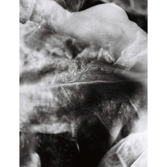 Image 1 of Vintage painting natural movements 05 von Meïdhy Bichon, 2019