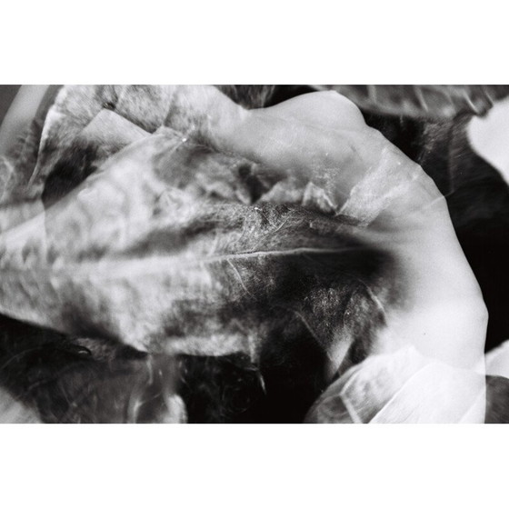 Image 1 of Vintage painting natural movements 05 von Meïdhy Bichon, 2019