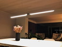 Tunto "Swan" LED-Hängelampe