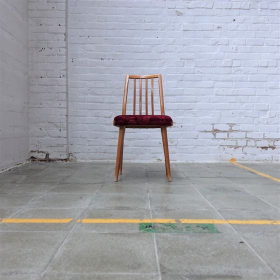 Image 1 of 4x Ton Antonin Suman Tatra Stühle