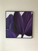 Nelly van Nieuwenhuijzen Malerei mit lila Tulpen