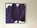 Nelly van Nieuwenhuijzen Malerei mit lila Tulpen