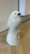 Polspot singender Spatz