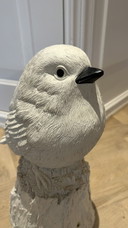 Polspot singender Spatz