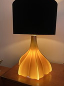 Peill & Putzler Pilz Tischlampe