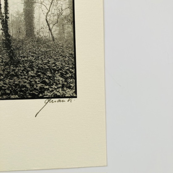 Image 1 of Ralph Janowski – Fotodruck ohne Titel