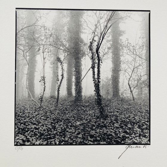 Image 1 of Ralph Janowski – Fotodruck ohne Titel