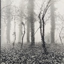 Ralph Janowski – Fotodruck ohne Titel