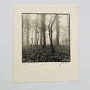 Ralph Janowski – Fotodruck ohne Titel
