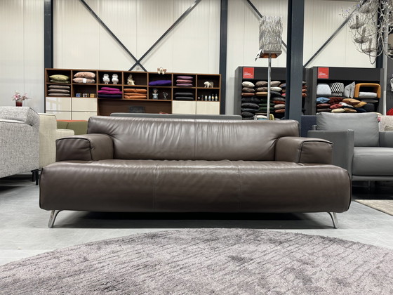 Image 1 of Leolux Oscar 2,5-Sitzer braun