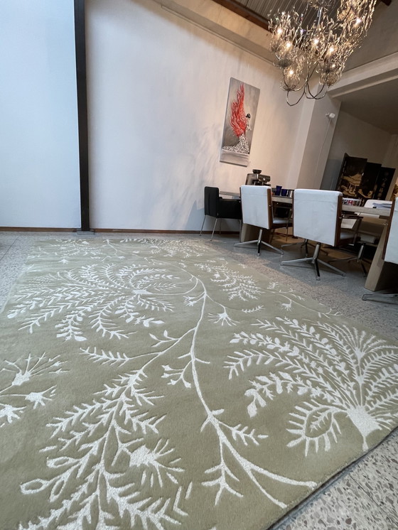 Image 1 of Brink & Campman Sanderson Teppich