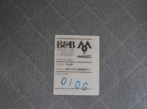 Image 1 of 2x B&B Italia "Tulip" Sessel von Jeffrey Bernett