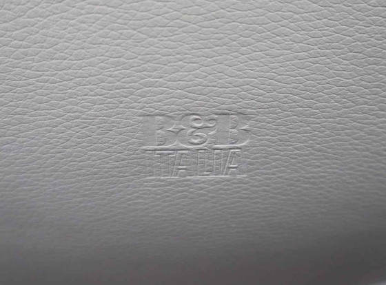 Image 1 of 2x B&B Italia "Tulip" Sessel von Jeffrey Bernett