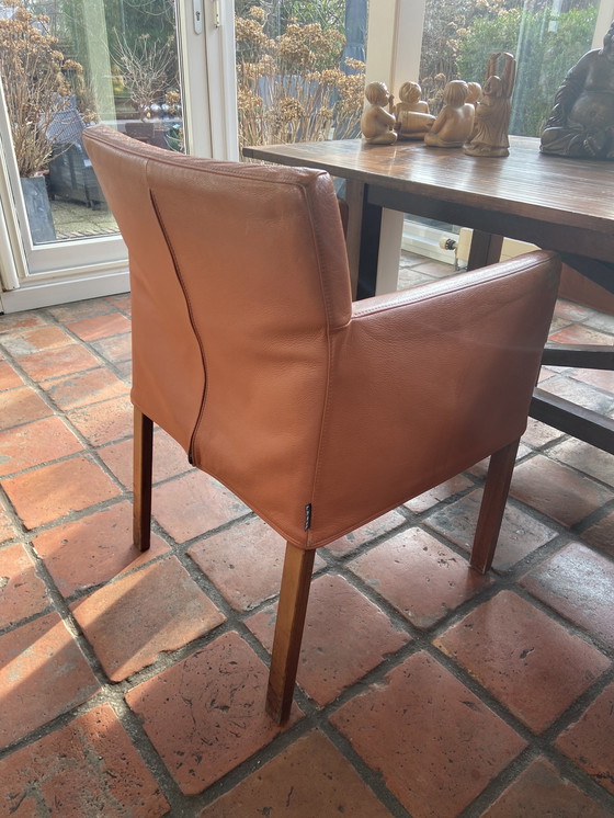 Image 1 of 4x Feline Gerard van den Berg Stühle in Leder.