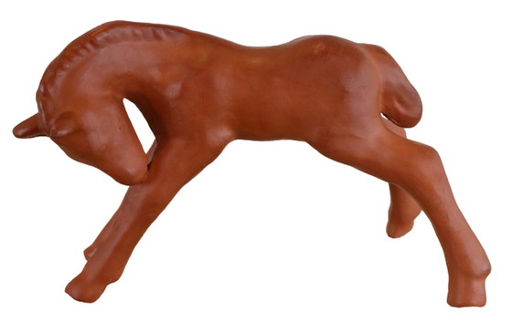 Image 1 of Goebel-Fohlen