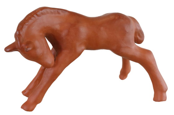 Image 1 of Goebel-Fohlen