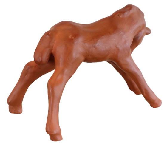 Image 1 of Goebel-Fohlen