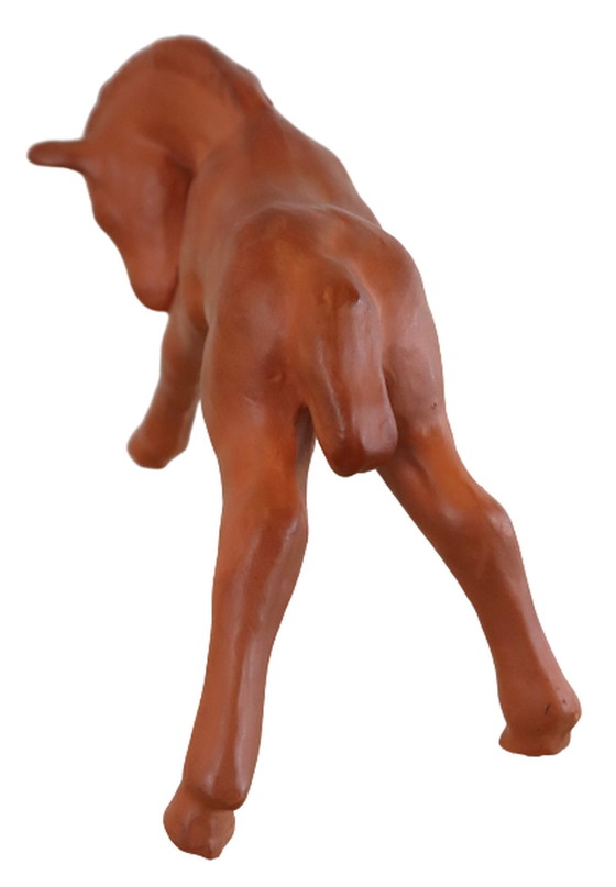 Image 1 of Goebel-Fohlen