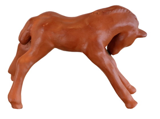 Image 1 of Goebel-Fohlen