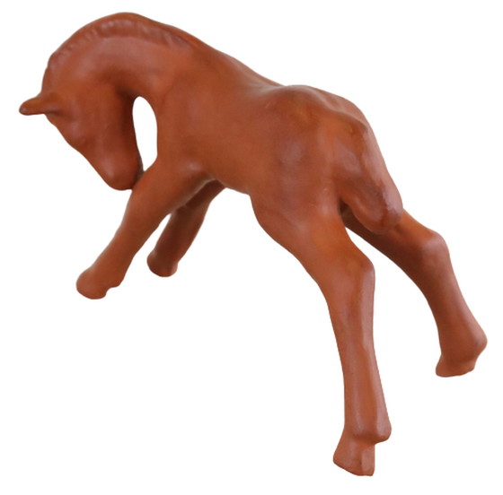 Image 1 of Goebel-Fohlen