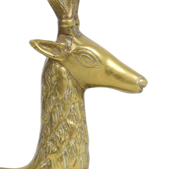 Image 1 of Messing mit Geweih Sarreid Ltd