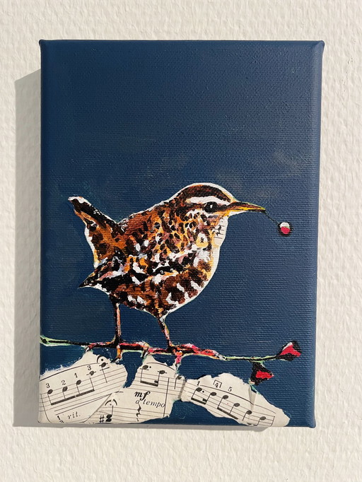 Porträt 'Zaunkönig'