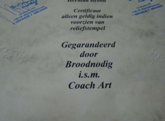 Image 1 of Herman Brood- Guitarman, signierter Siebdruck