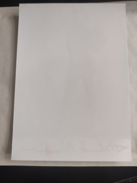 Image 1 of Helmut Newton, Helena Christensen handsigniertes Foto