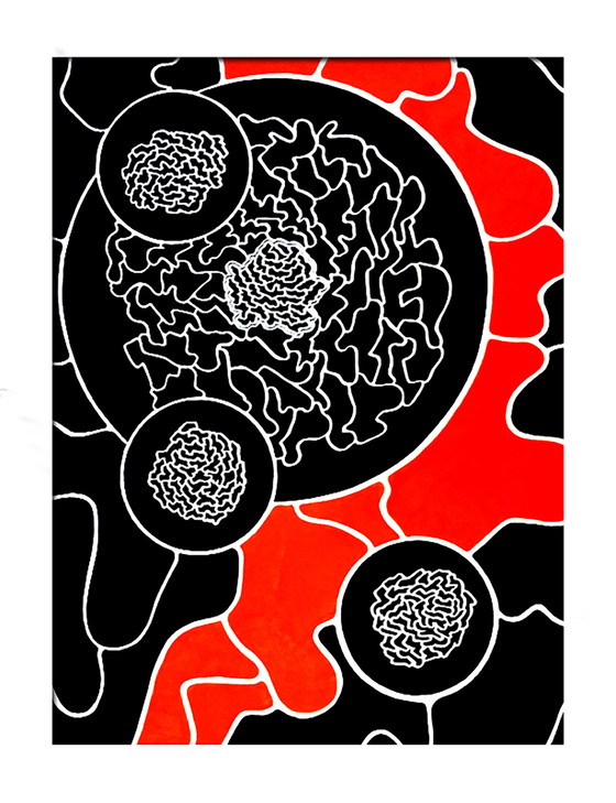 Image 1 of Arwin Kortleever – Unerwünschte Gurke