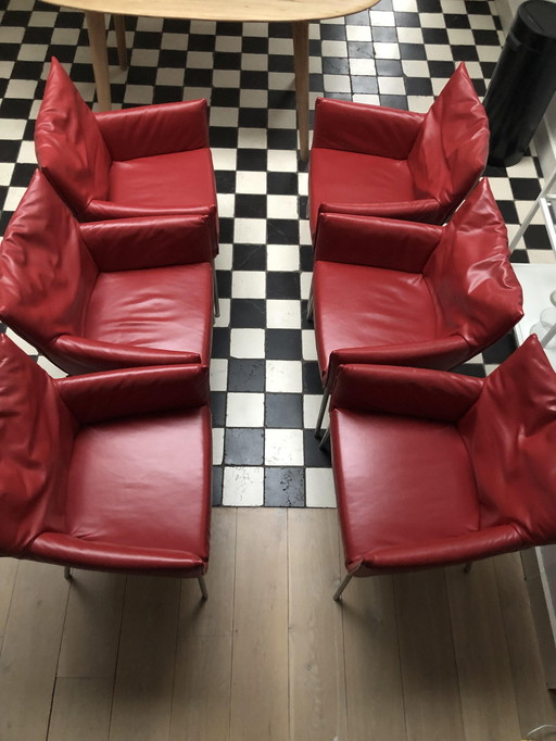 6x Label van den Berg Stühle