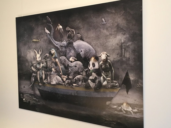 Image 1 of Marcin Owczarek - Verlorenes Paradies