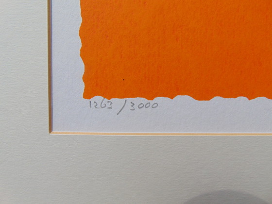 Image 1 of Jacqueline Schafer - Seltsame Vogellithographie