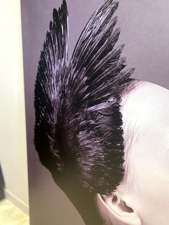 Image 1 of BoConcept - Wandbild "Black Swan" - Metalldruck