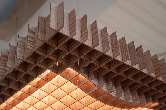 Image 1 of ARRAY Beleuchtung The Grid Light Pendelleuchte von David Derksen